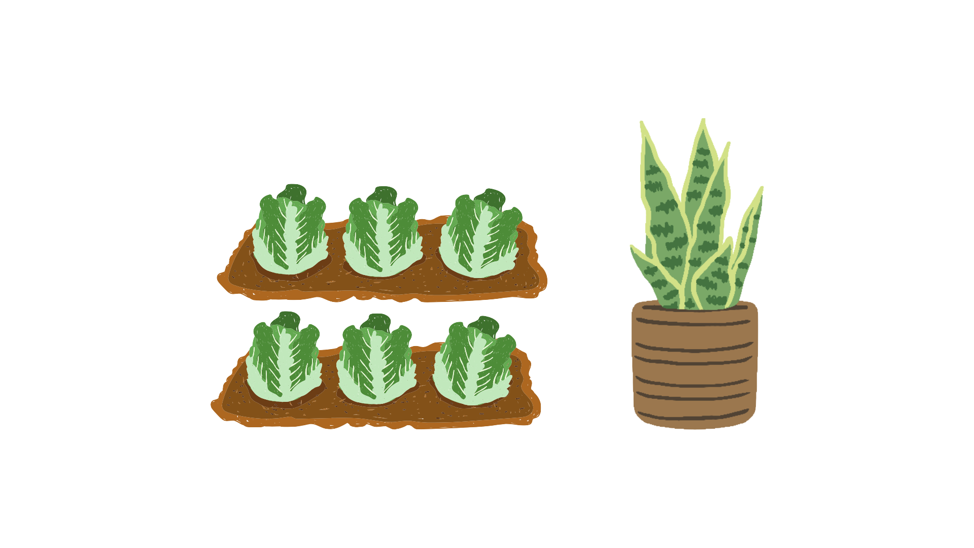 For Vegetables and Small Plants