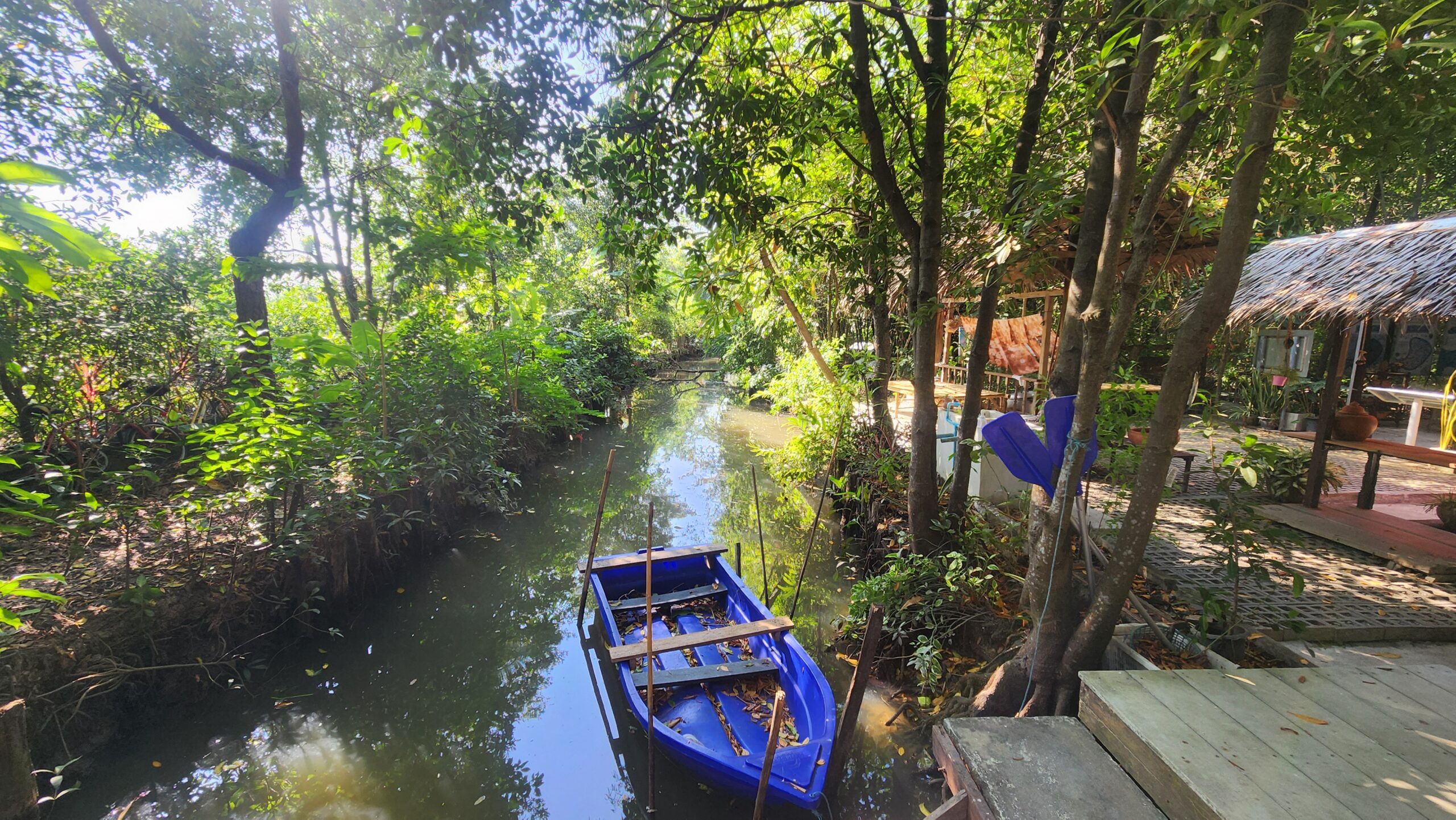 Bang Krachao community forest